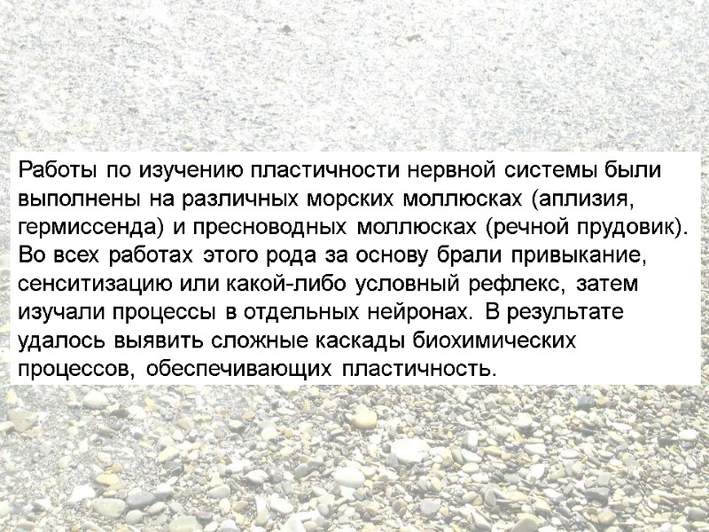 Работы по изучению пластичности нервной системы были выполнены на различных морских моллюсках (аплизия, гермиссенда)